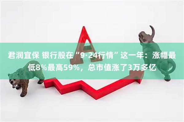 君润宜保 银行股在“9·24行情”这一年：涨幅最低8%最高59%，总市值涨了3万多亿