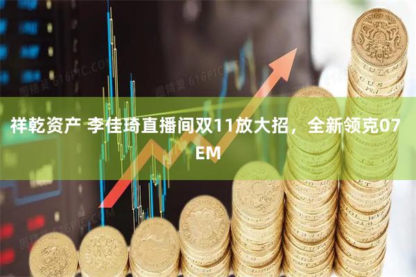 祥乾资产 李佳琦直播间双11放大招，全新领克07 EM