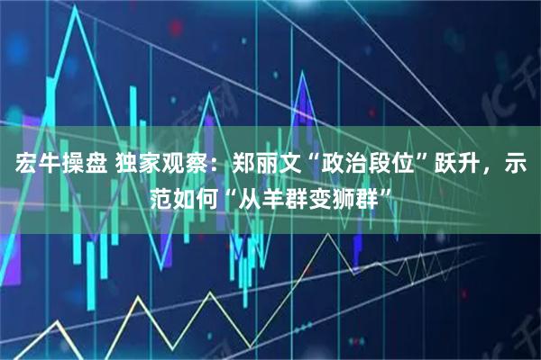 宏牛操盘 独家观察：郑丽文“政治段位”跃升，示范如何“从羊群变狮群”